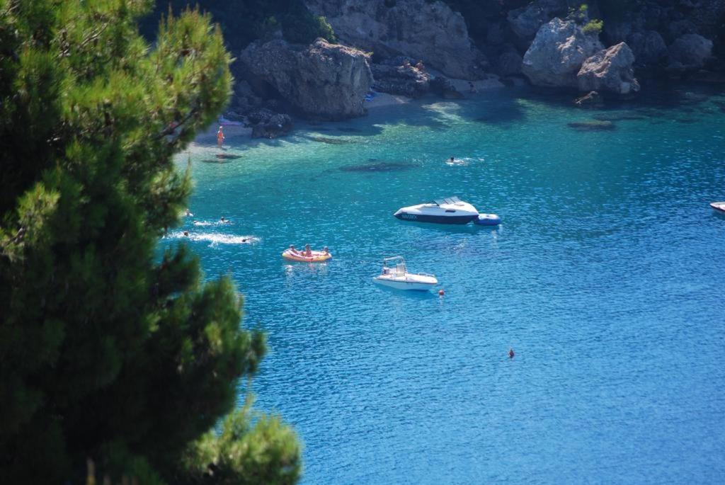 Apartament Apartman Horizont Omiš Zewnętrze zdjęcie